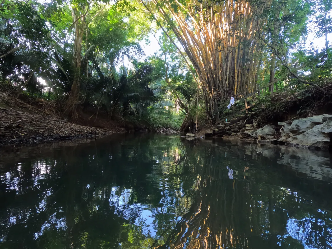 Creek View