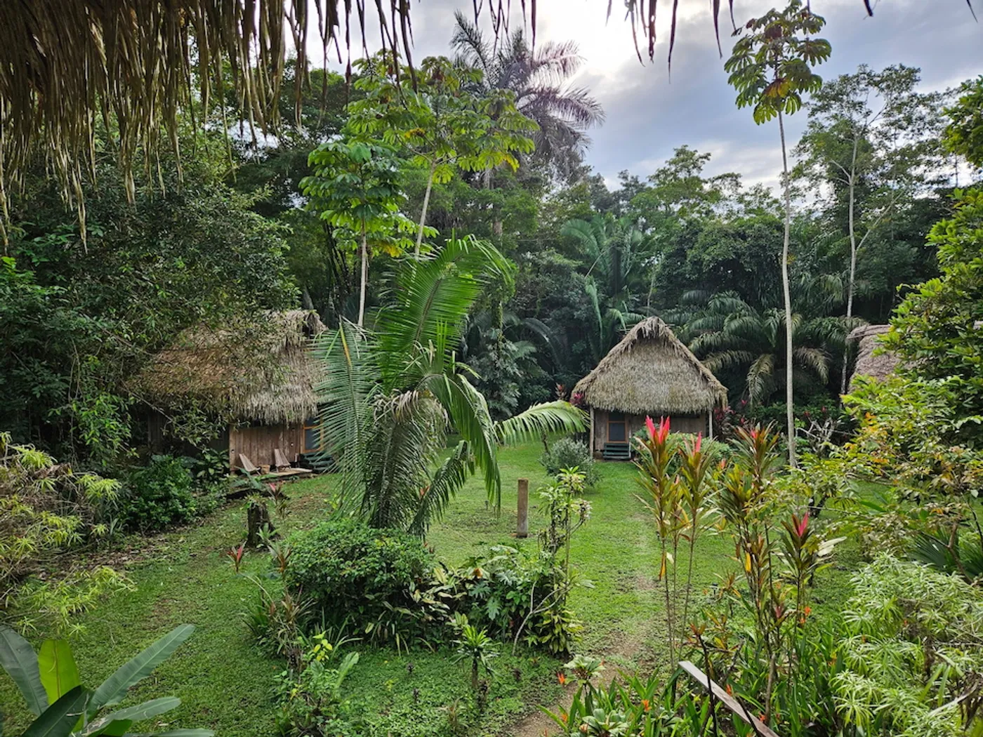 A lush but manicured garden with a thatched casita.