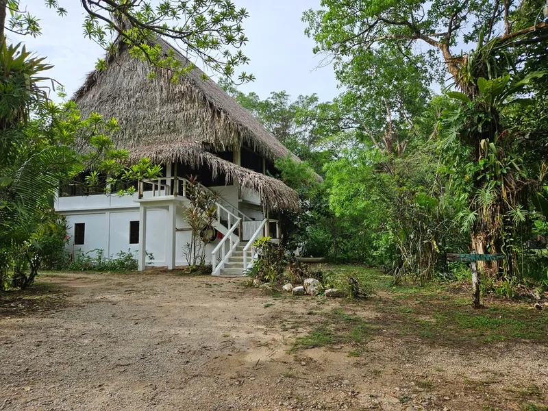 The Creekside Oasis lodge exterior among the trees.