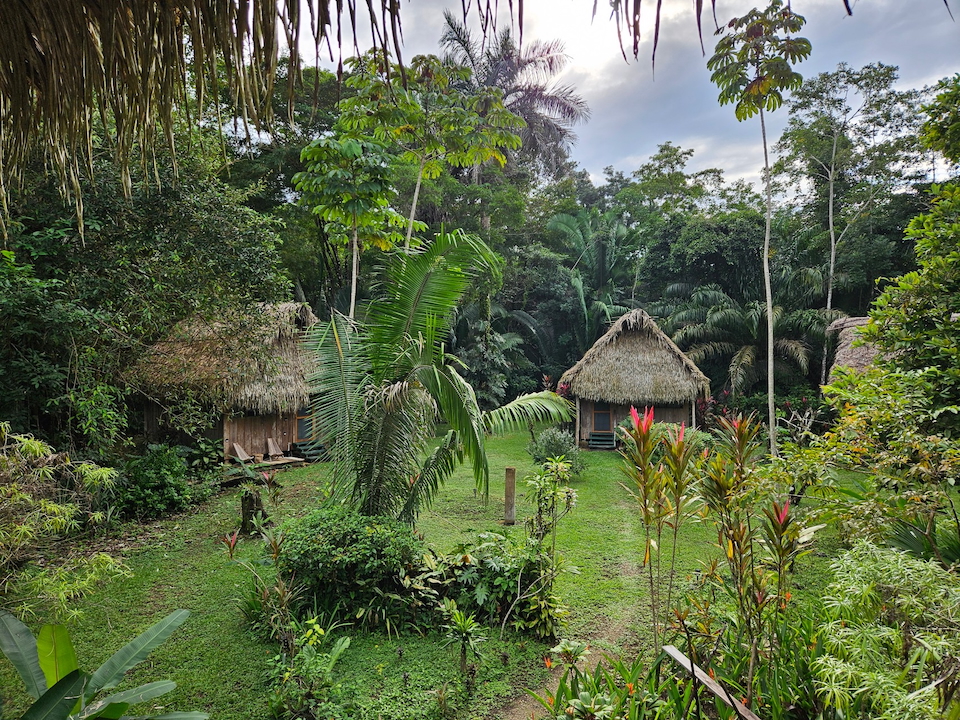 A lush but manicured garden with a thatched casita.