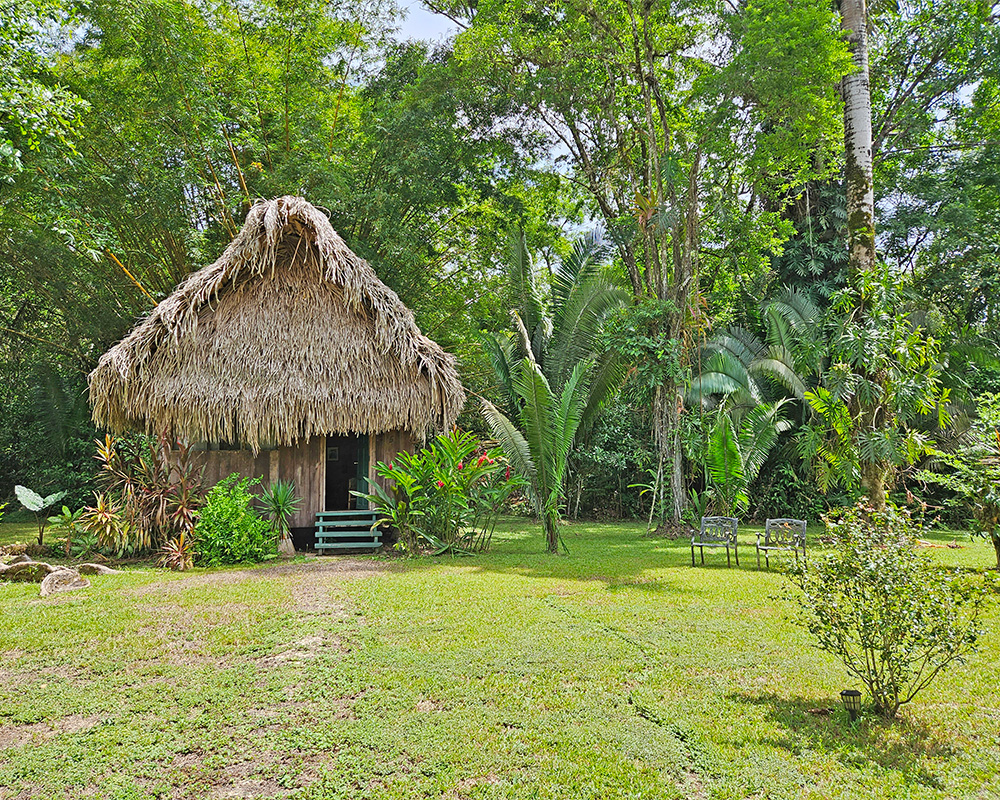 A thatched casita among a lush garden.