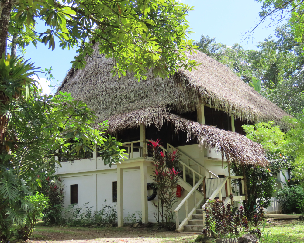 A two-story thatched lodge with wooden stairs in a lush jungle setting.