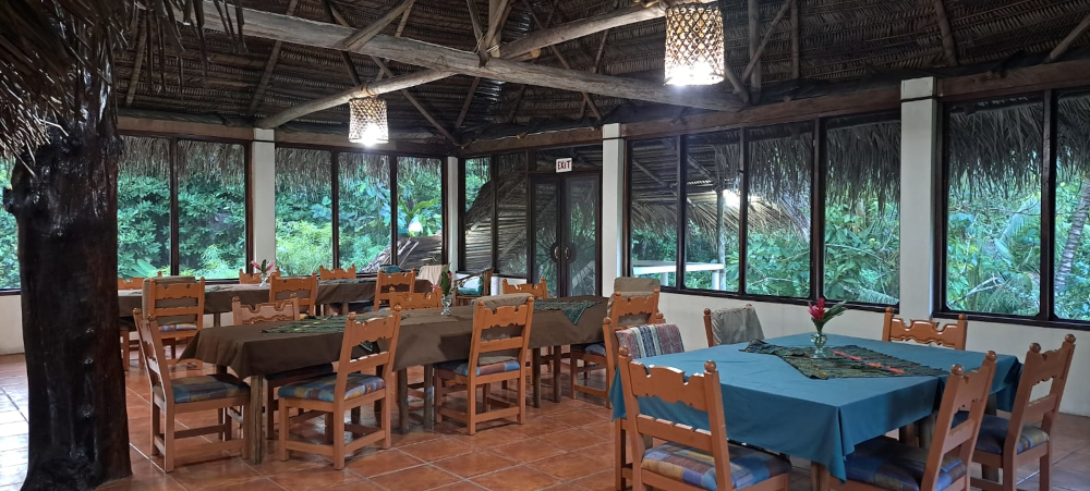 Comfortable dining chairs and tables in a jungle lodge.