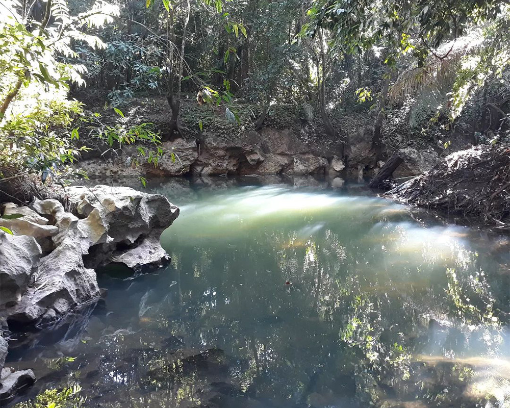 Placid water illuminated by sunlight in a jungle.