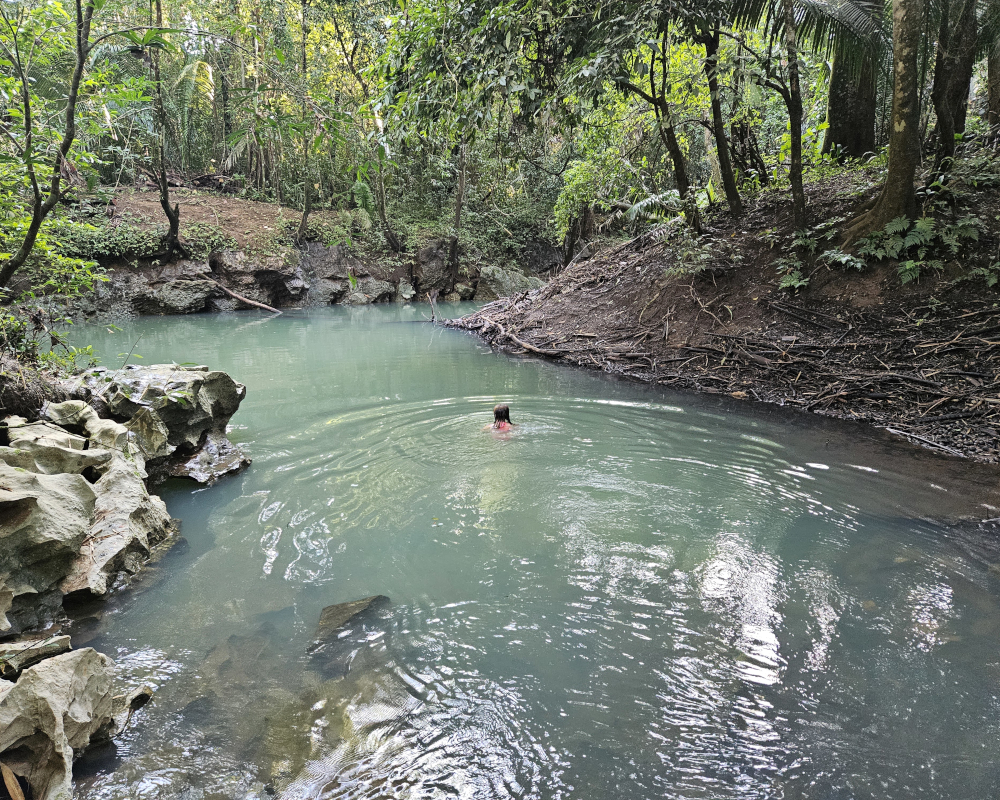 Placid water illuminated by sunlight in a jungle with girl swimming.
